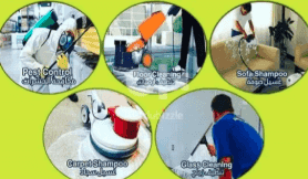 Pest control services